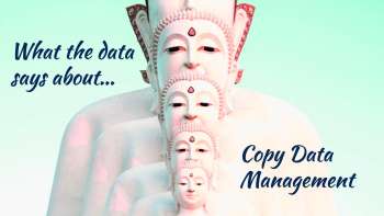 What the Data Says About Copy Data Management
