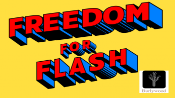 Burlywood True Flash Insight Brings Freedom for Flash