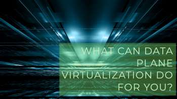 What Can Data Plane Virtualization Do For You?