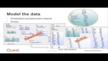Data Empowerment in a Diverse Data Ecosystem