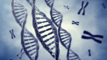 Microsoft Successfully Stored Music Video On DNA Strands